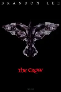 Poster to the movie "The Crow" #656891