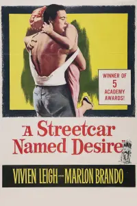 Poster to the movie "A Streetcar Named Desire" #203970