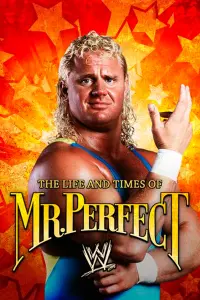 Poster to the movie "The Life and Times of Mr. Perfect" #652572