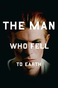 Poster to the movie "The Man Who Fell to Earth" #289034