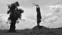 Backdrop to the movie "The Turin Horse" #574408