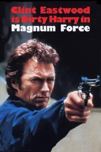 Poster to the movie "Magnum Force" #106469