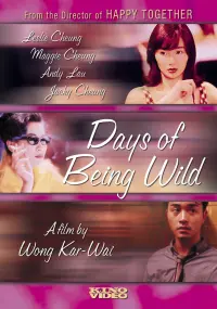 Poster to the movie "Days of Being Wild" #144113