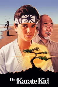 Poster to the movie "The Karate Kid" #60692