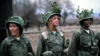 Backdrop to the movie "Private Benjamin" #622712