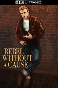 Poster to the movie "Rebel Without a Cause" #121094