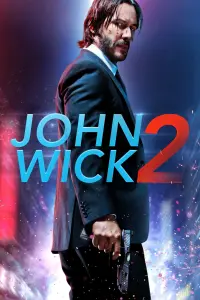 Poster to the movie "John Wick: Chapter 2" #169114