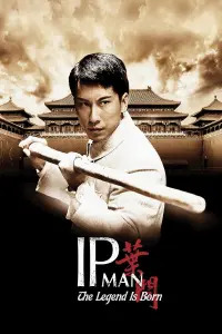 Poster to the movie "The Legend Is Born: Ip Man" #261937