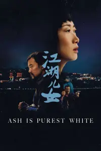 Poster to the movie "Ash Is Purest White" #355125