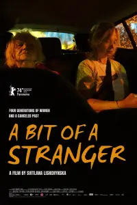 Poster to the movie "A Bit of a Stranger" #366733