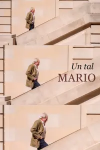 Poster to the movie "Un tal Mario" #456186