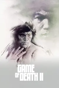 Poster to the movie "Game of Death II" #347438