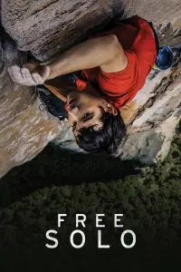 Poster to the movie "Free Solo" #379903