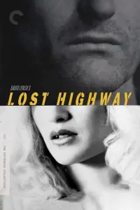 Poster to the movie "Lost Highway" #120879