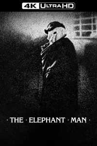 Poster to the movie "The Elephant Man" #124269