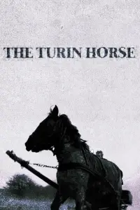 Poster to the movie "The Turin Horse" #201336