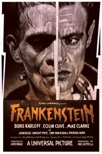 Poster to the movie "Frankenstein" #86025