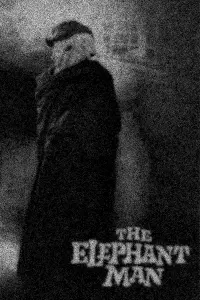 Poster to the movie "The Elephant Man" #124287