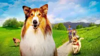 Backdrop to the movie "Lassie: A New Adventure" #543258