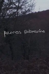 Poster to the movie "Perros submarino" #447090