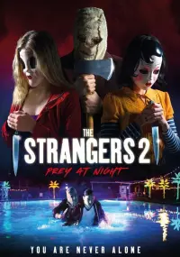 Poster to the movie "The Strangers: Prey at Night" #85582