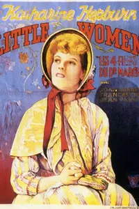 Poster to the movie "Little Women" #490423