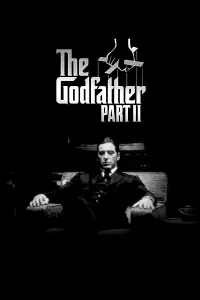 Poster to the movie "The Godfather Part II" #676113