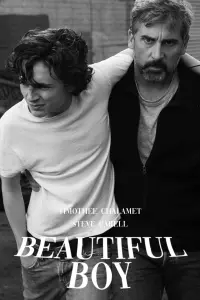 Poster to the movie "Beautiful Boy" #545054