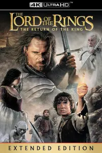 Poster to the movie "The Lord of the Rings: The Return of the King" #11635