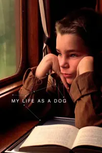 Poster to the movie "My Life as a Dog" #157015