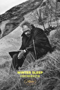 Poster to the movie "Winter Sleep" #404700