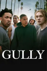 Poster to the movie "Gully" #361978