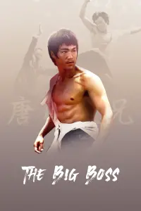 Poster to the movie "The Big Boss" #237946