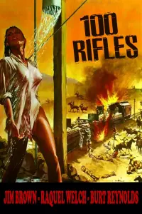 Poster to the movie "100 Rifles" #351516