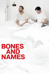 Poster to the movie "Bones and Names" #353119