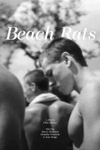 Poster to the movie "Beach Rats" #452169