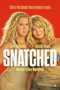 Poster to the movie "Snatched" #87276