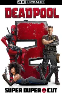 Poster to the movie "Deadpool 2" #22950