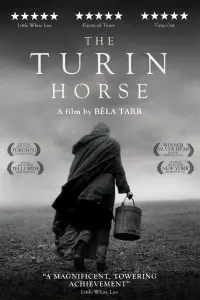 Poster to the movie "The Turin Horse" #201333