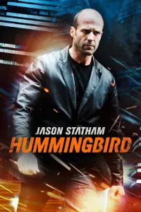 Poster to the movie "Hummingbird" #53891