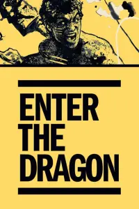 Poster to the movie "Enter the Dragon" #65988