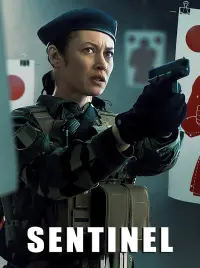 Poster to the movie "Sentinelle" #132500