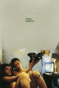 Poster to the movie "Happy Together" #377111