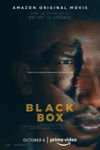 Poster to the movie "Black Box" #133371