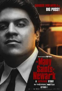 Poster to the movie "The Many Saints of Newark" #287272