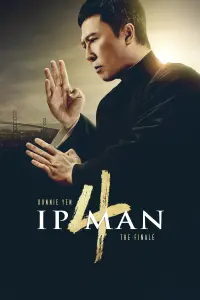 Poster to the movie "Ip Man 4: The Finale" #228225