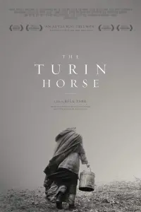 Poster to the movie "The Turin Horse" #201335