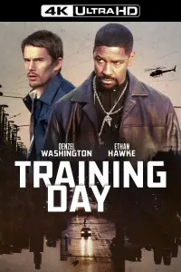 Poster to the movie "Training Day" #211527