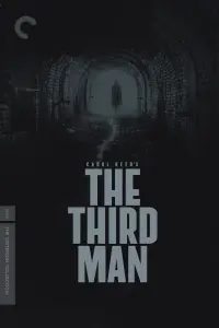 Poster to the movie "The Third Man" #112860