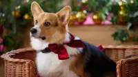 Backdrop to the movie "A Royal Corgi Christmas" #637910